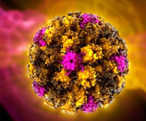 Ιός των ανθρωπίνων θηλωμάτων